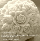 <center>2009 新年を迎えて</center><center>コリンキー</center>