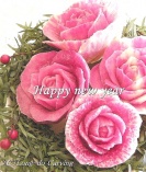 <center>2010 新年を迎えて</center><center>今年も宜しくお願い致します</center><center>紅芯大根</center>