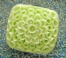 <center>新緑のイメージ</center>
